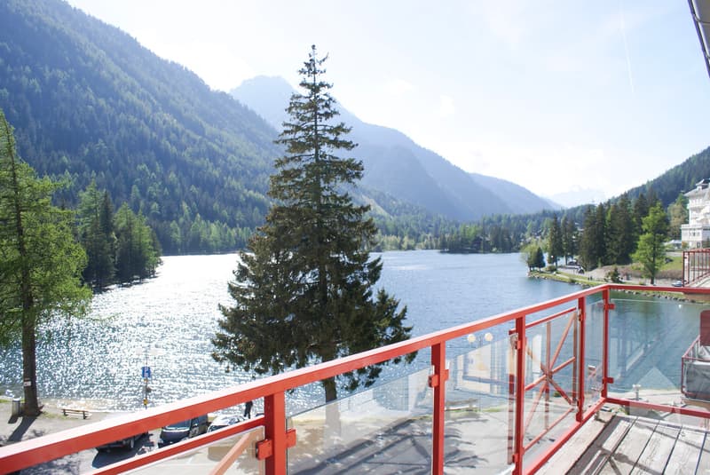 Magnifique appartement en attique avec vue imprenable sur le lac ! (2)