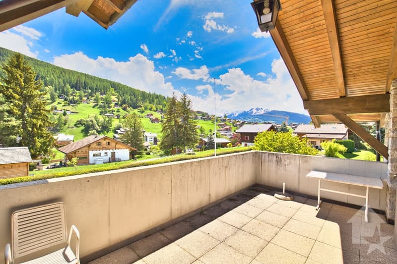 Chalet de 2 appartements sur une grande parcelle, situation exceptionnelle ! (13)