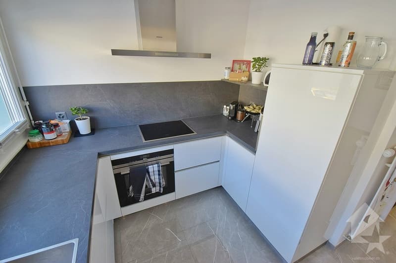 Joli 4.5 pièces, complètement rénové avec une grande terrasse (9)