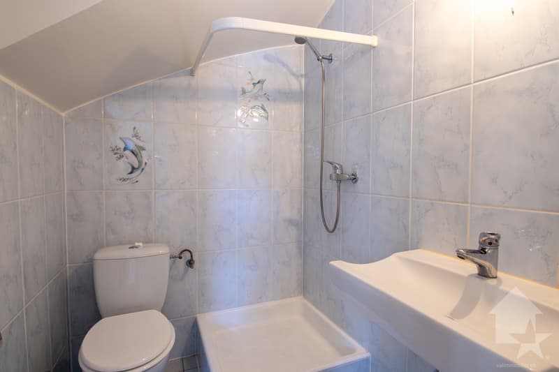 Salle d'eau rdz