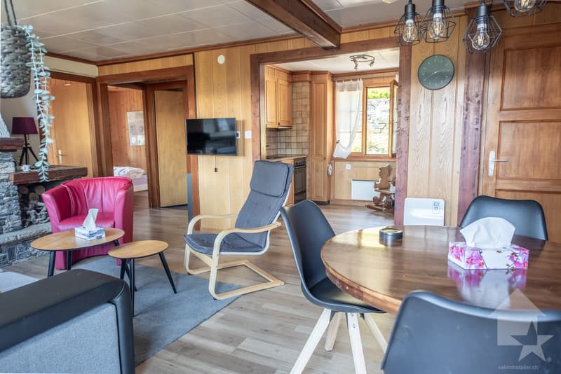 Charmant chalet de 2 appartements + dépendance, belle situation (6)
