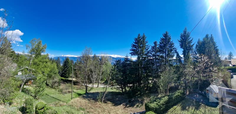 Charmant chalet de 2 appartements + dépendance, belle situation (13)