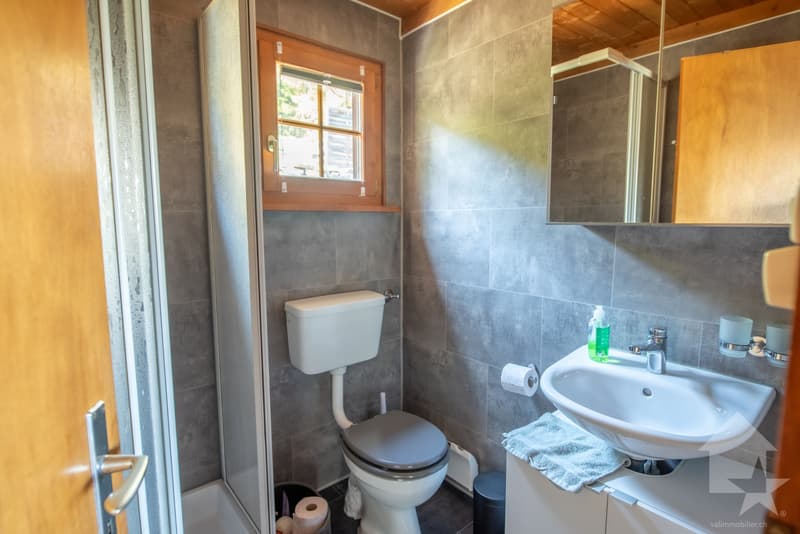 Charmant chalet de 2 appartements + dépendance, belle situation (9)