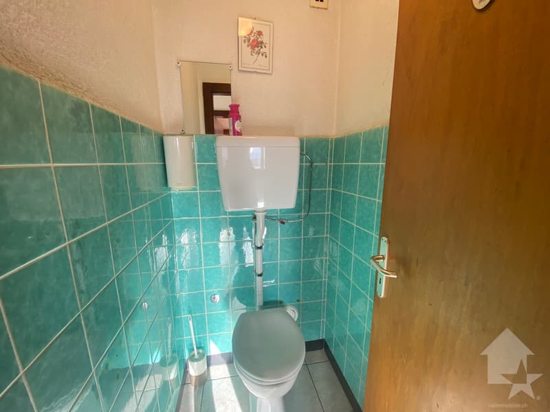 Lot immobilier, maison + terrains constructibles ! (13)