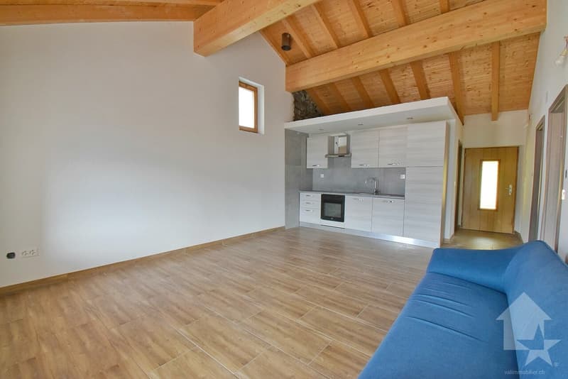 Maison de 2 appartements complètement rénovés en 2025 ! (4)