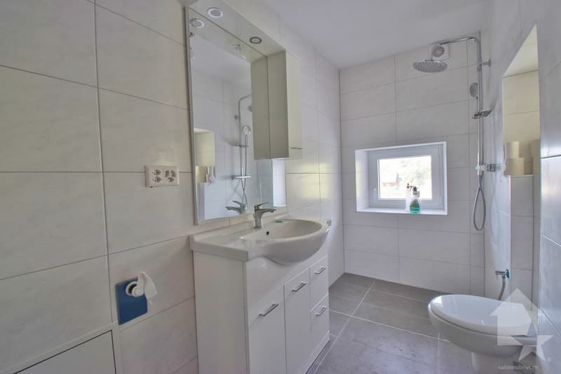 Maison de 2 appartements complètement rénovés en 2025 ! (11)