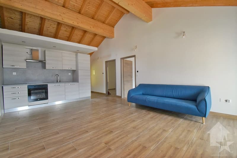 Maison de 2 appartements complètement rénovés en 2025 ! (6)