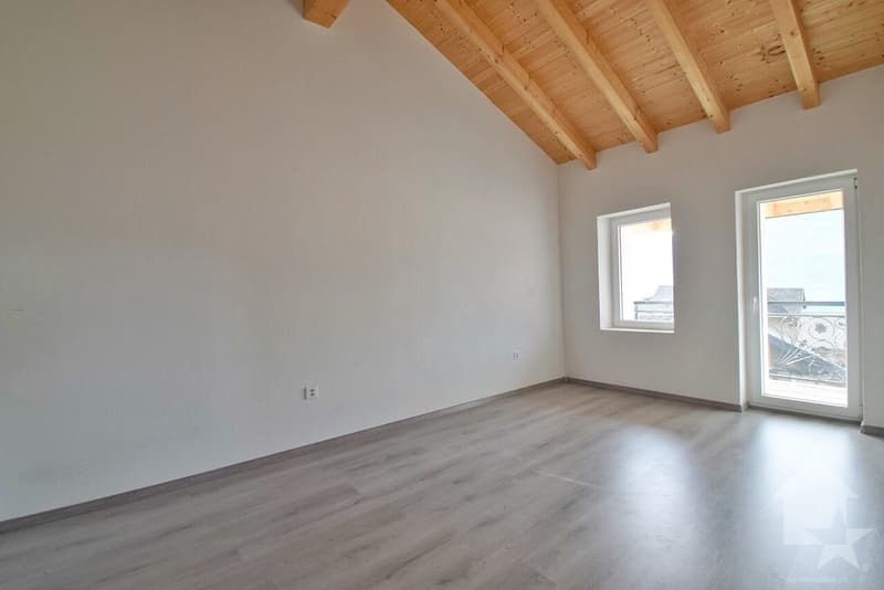 Maison de 2 appartements complètement rénovés en 2025 ! (9)
