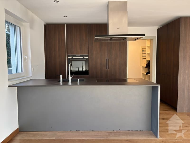 Spacieux 4.5 pièces et espace indépendant de 60 m2 ! (2)