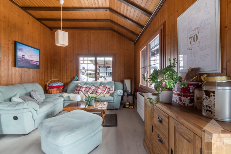 Chalet familial de 8.5 pièces modernisé et parfaitement entretenu (6)