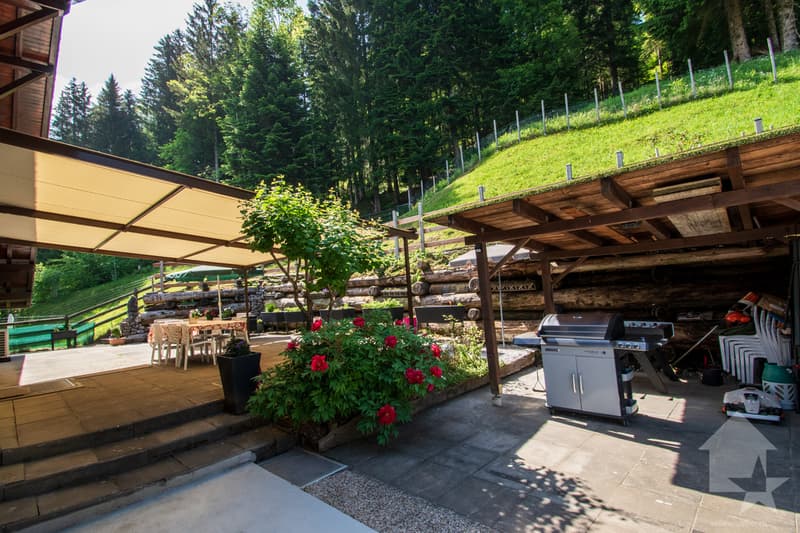 Chalet familial de 8.5 pièces modernisé et parfaitement entretenu (13)
