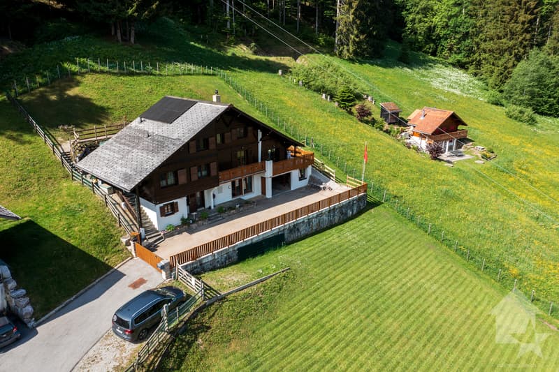 Chalet familial de 8.5 pièces modernisé et parfaitement entretenu (1)