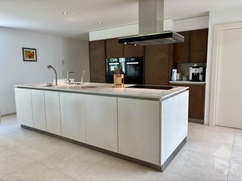 Magnifique appartement avec vue dégagée sur les Alpes (5)