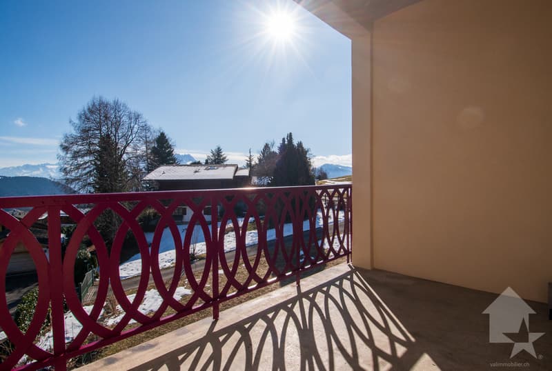 Bel appartement traversant à Leysin (9)