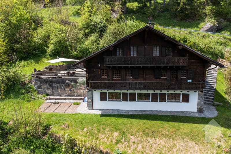 Spacieux chalet au coeur de la nature (1)