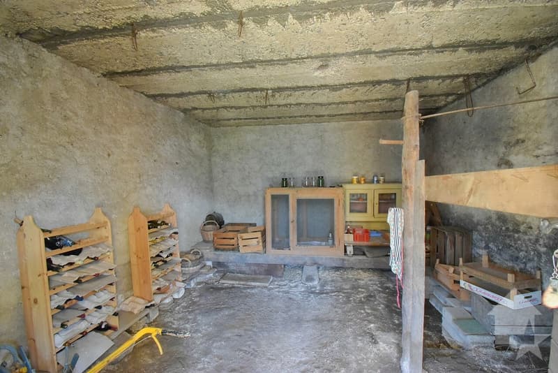 Appartement de 4.5 pièces avec un jardin + 2 grandes caves (11)