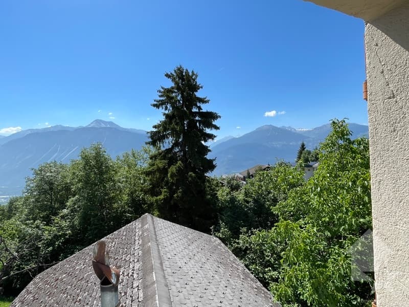 Maison ancienne en partie transformée: 1 duplex et 1 niveau à aménager (2)