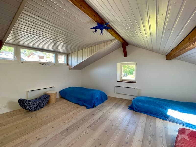 Maison ancienne en partie transformée: 1 duplex et 1 niveau à aménager (11)