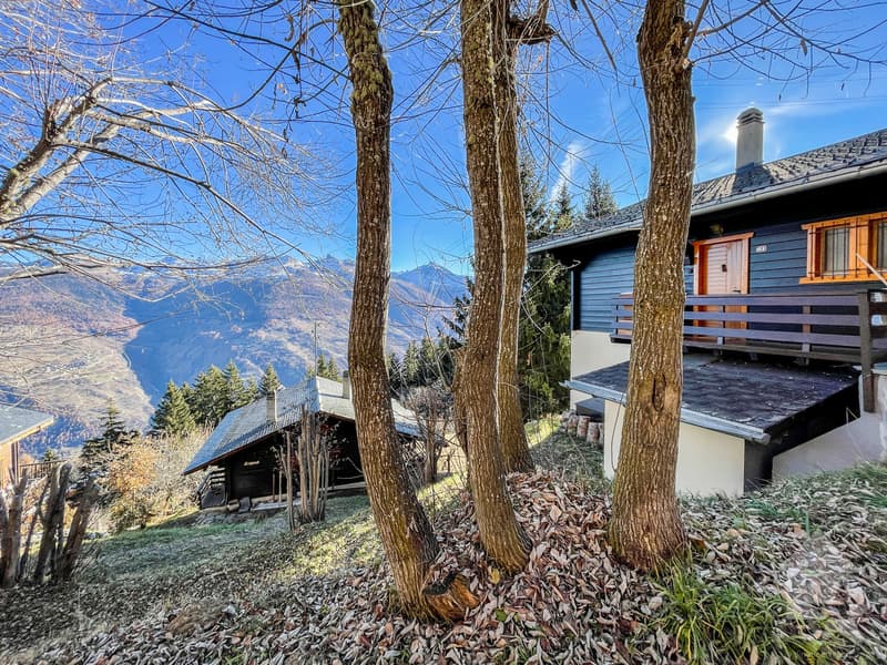 Charmant chalet aux centre des Collons (7)