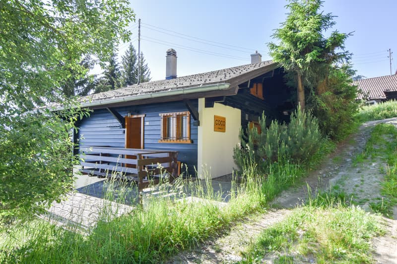 Charmant chalet aux centre des Collons (5)
