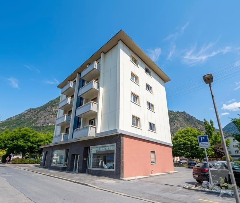 Appartement rénové de 3.5 pces avec place de parc (13)