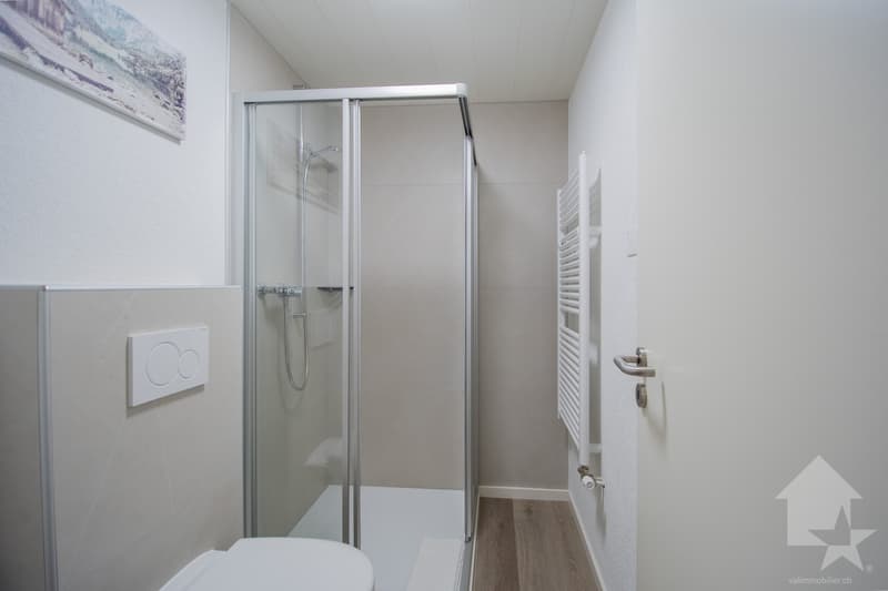 Immeuble mixte avec activités en cours - Le Châtelard (VS) (7)