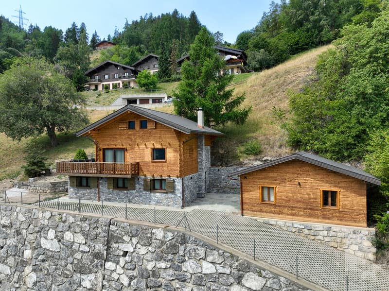 Magnifique chalet de caractère entièrement rénové (1)