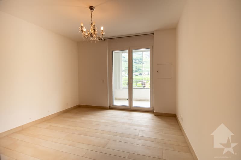 Spacieux appartement traversant dans les bains de Saillon (13)