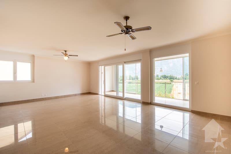 Spacieux appartement traversant dans les bains de Saillon (3)