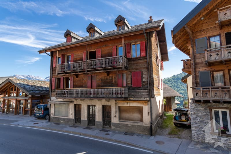 Maison villageoise à rénover, 10 pièces + locaux commerciaux, 400 m2 (1)