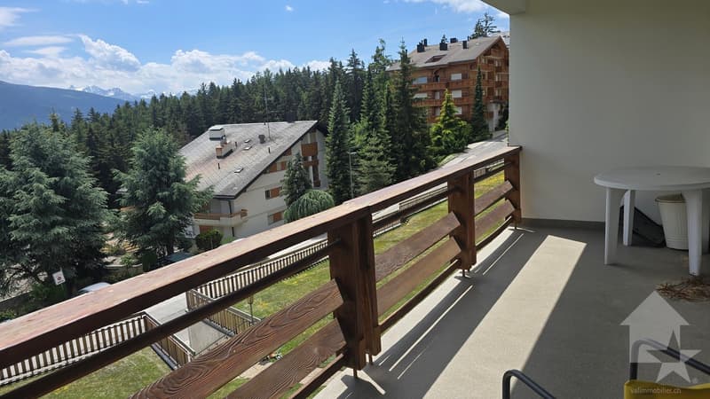 En plein centre ville, appartement lumineux avec balcon plein sud (9)
