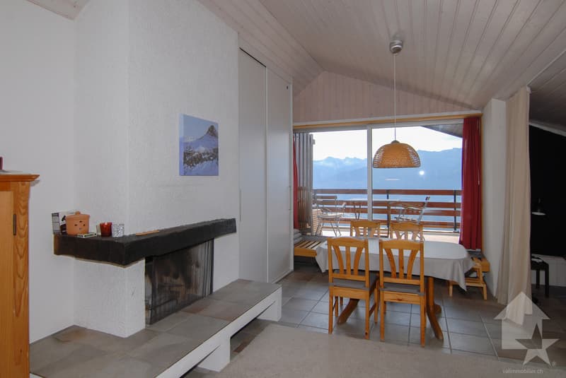 Deux appartement à Anzère avec vue panoramique (13)
