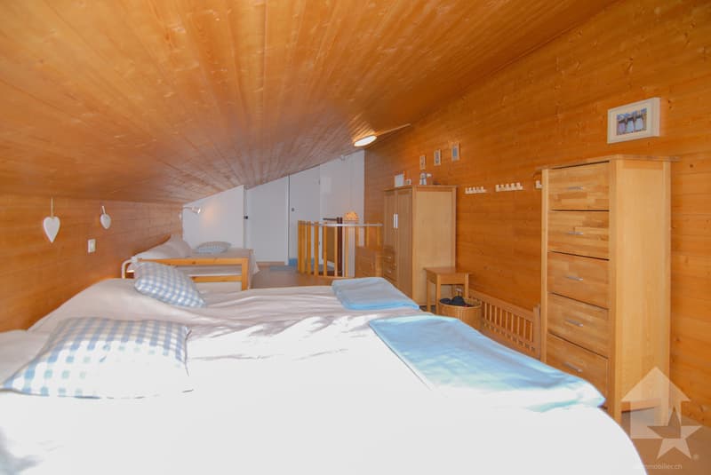 Deux appartement à Anzère avec vue panoramique (7)