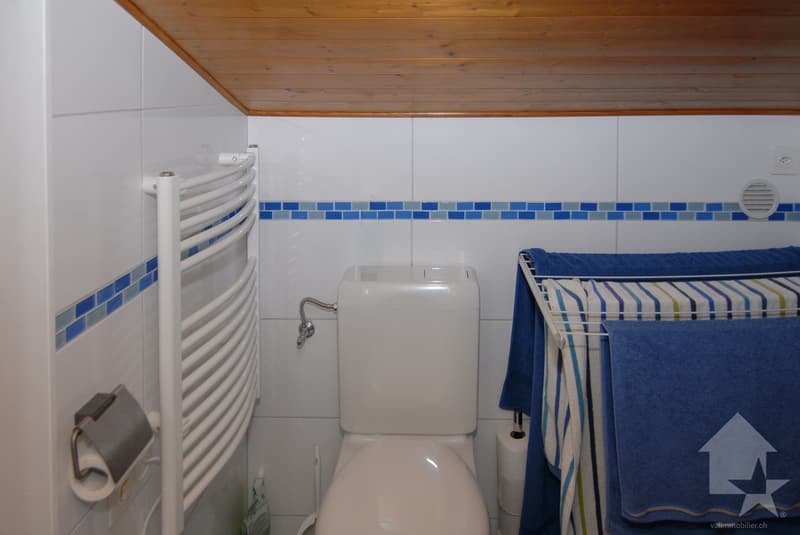Deux appartement à Anzère avec vue panoramique (10)