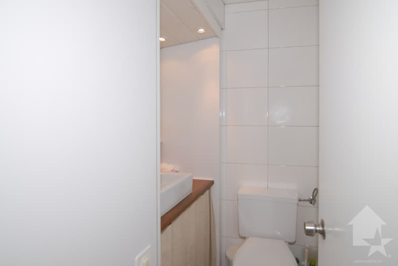 Deux appartement à Anzère avec vue panoramique (11)
