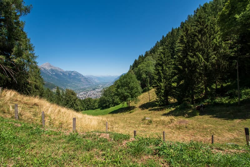 Magnifique chalet au coeur de la nature (3)
