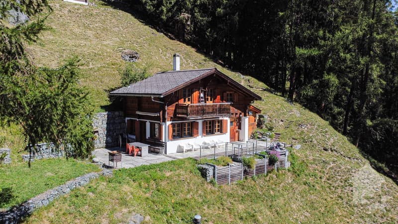 Charmant chalet avec terrasse panoramique et vues splendides (1)