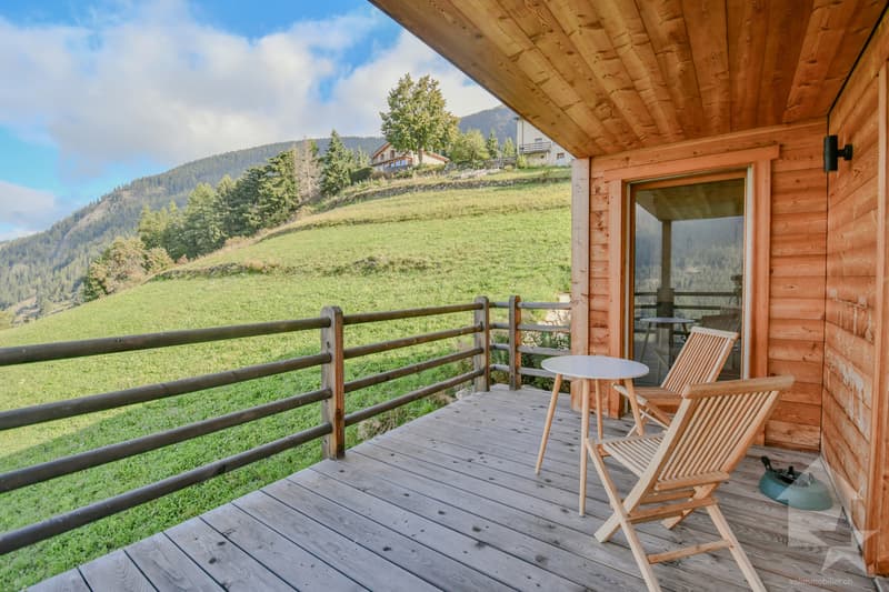 Splendide chalet de 275 m2 habitables au coeur de la nature (10)