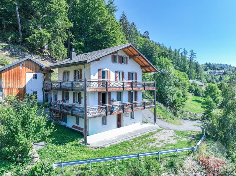 Appartement de 3.5 pièces avec vue sur le glacier de Trient (1)