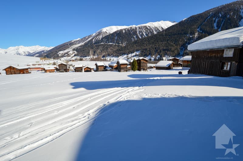 Parcelle à bâtir à Gluringen - Votre rêve d'une maison dans les Alpes! (9)