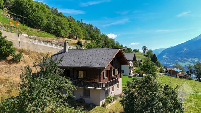 Maison à rénover dans un excellent emplacement (4)