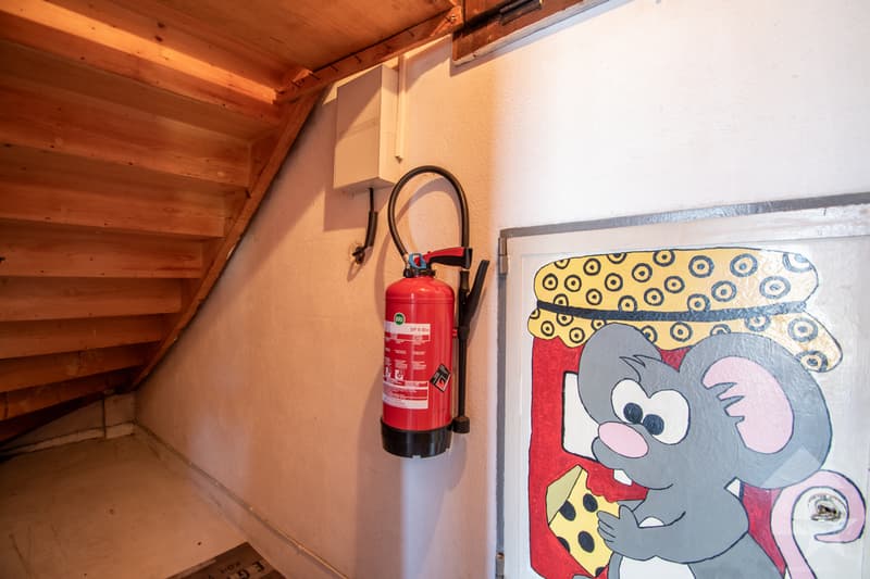 Vérossaz, chalet 3.5 pièces (11)