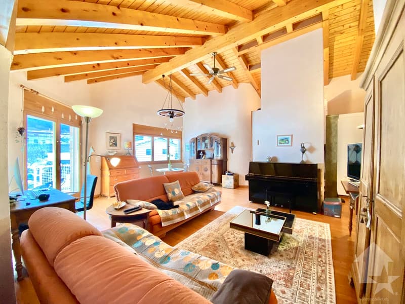 Spacieux attique au calme, parking, terrasse de 105 m2 et vue ! (7)