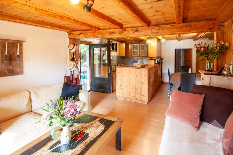 Appartement dans un petit chalet sur les Mayens de Conthey (6)