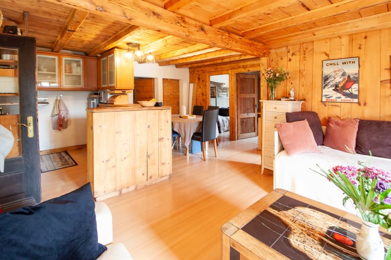 Appartement dans un petit chalet sur les Mayens de Conthey (3)