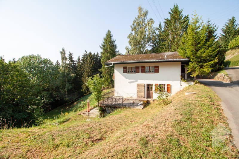 Appartement dans un petit chalet sur les Mayens de Conthey (12)