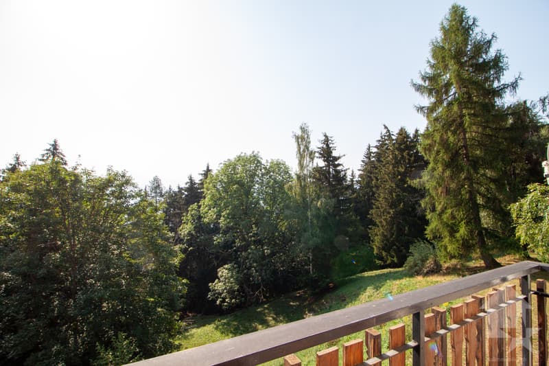 Appartement dans un petit chalet sur les Mayens de Conthey (9)