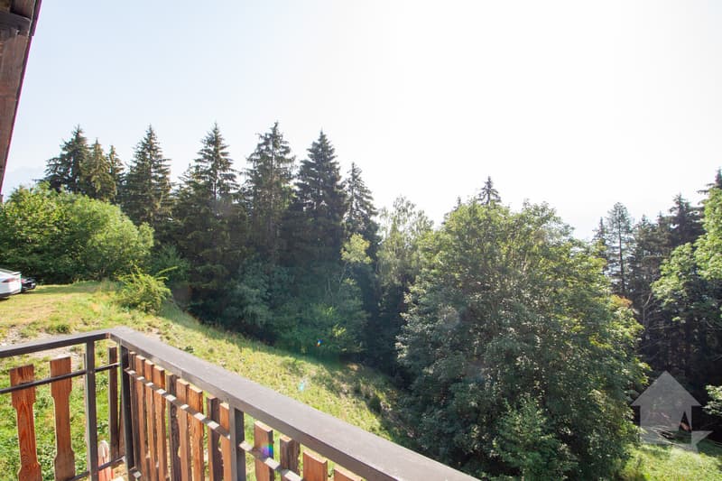Appartement dans un petit chalet sur les Mayens de Conthey (10)