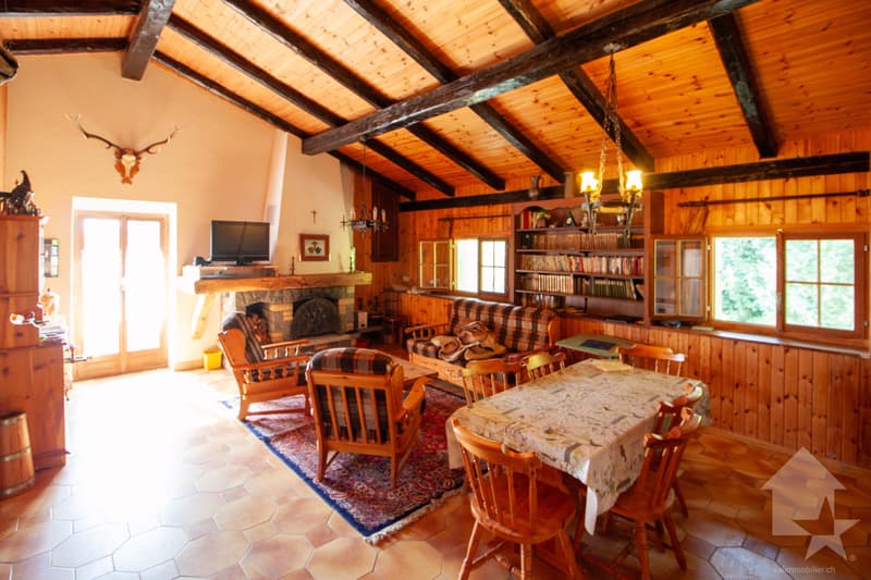 Appartement dans un petit chalet sur les Mayens de Conthey (3)