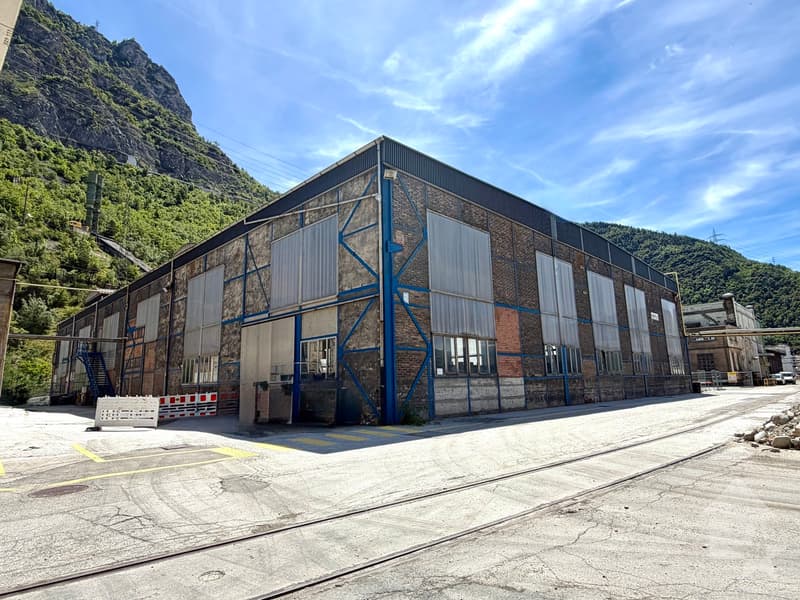 Halle industrielle de 20'500 m3 et de 2'130 m2 avec accès sécurisé (1)